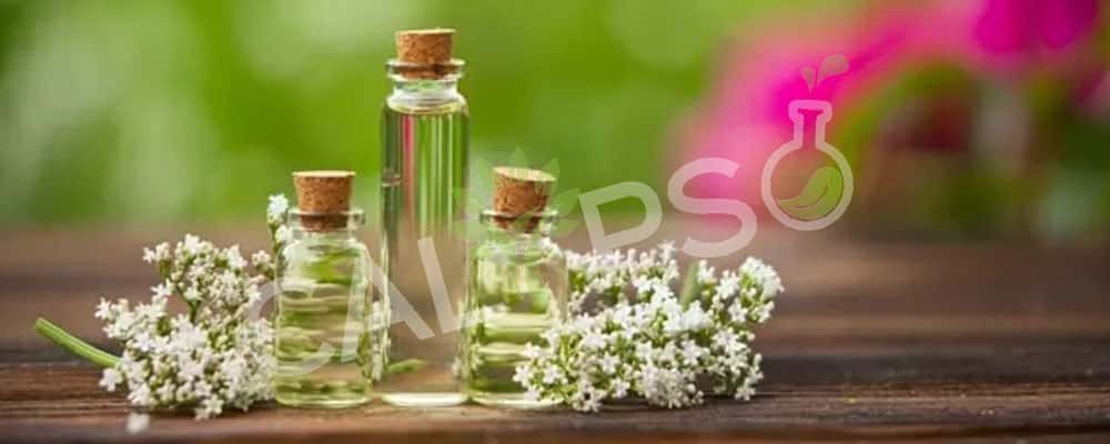 Aceite absoluto neeroli puro